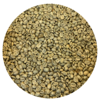 Guatemalan Premium Huehue. Finca El Diamante Green Coffee Beans