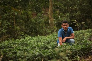 canta gallo farmer and coffee plants
