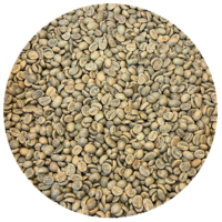 Guatemalan 2022 Crop Antigua – Sombra Del Volcan Green Coffee Beans