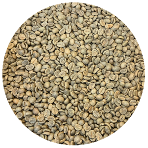 Guatemalan 2022 Crop Antigua – Sombra Del Volcan Green Coffee Beans
