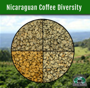 Nicaraguan Coffee Diversity Pic