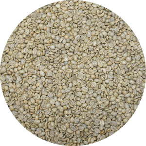 Vietnam Lam Dong - Duc Trong Mill - Washed Processed Arabica