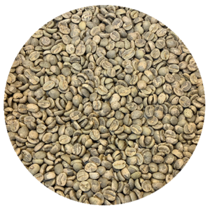 Zambia-2022 Crop-Ngoli Estate Washed | Burman Coffee