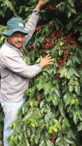 chapadao coffee farmer