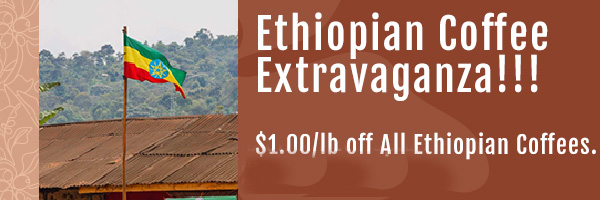 Ethiopia Extravaganza