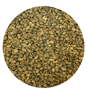 Indonesian Sumatra Mandheling Garmindo Gayo FTO Gr. 1 Green Coffee Beans