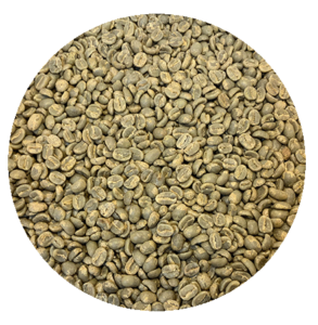 Panama Premium Boquete – Mama Cata Estate – Caturra Washed “Porton” Green Coffee Beans