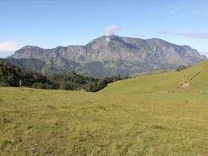 Papua Landscape