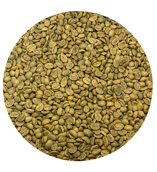Colombian FT Org. Cauca AMUCC Women’s Coop Washed Processed Green Coffee Beans