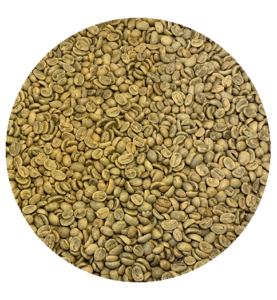 Honduran Siguatepeque Alpino SHG EP Green Coffee Beans