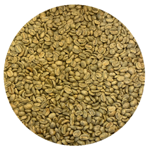 Peru Cajamarca Org. Aromas Del Valle SHG EP Green Coffee Beans