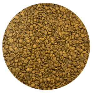 Decaffeinated Guatemalan Huehue. ASOBAGRI FTO Royal Select SWP Green Coffee Beans