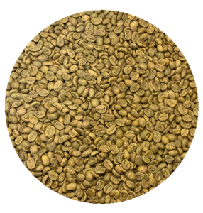 Nicaraguan Org. Jinotega SHB EP BCT Select Green Coffee Beans