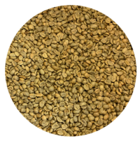 Colombian FT Org. Cauca ACEC EP Washed Green Coffee Beans