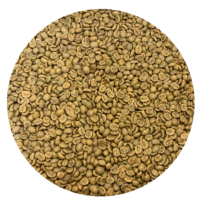 Costa Rican SHB EP Dota Tarrazu Santa Maria Washed Processed Green Coffee Beans
