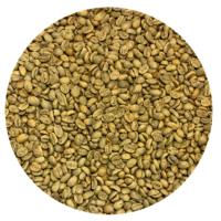 Timor-Leste Washed Org. Ermera Lacau Green Coffee Beans