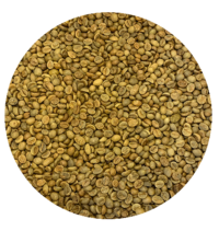 Timor Org. Washed Processed Robusta Green Coffee Beans