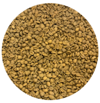 Decaffeinated Nicaraguan Segovia FTO SWP Green Coffee Beans