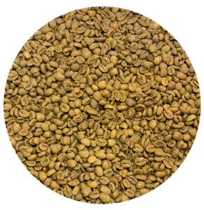 Decaffeinated Nicaraguan Segovia FTO SWP Green Coffee Beans