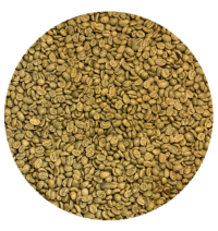 Kenya Kiambu Kiandino AB Green Coffee Beans