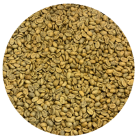 Colombian Cauca Finca Juan Martin Red Striped Bourbon Washed Green Coffee Beans