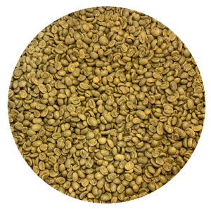 Costa Rican Amistad Green Coffee Beans