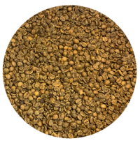 Decaf Brazil Green Coffee Beans 4-16-2024