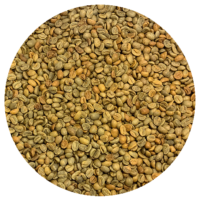 Haitian Premium – Cafe Kreyol – Hybrid Honey Processed Green Coffee Beans
