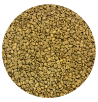 Honduran SHG EP Ocotepeque Washed Processed Green Coffee Beans
