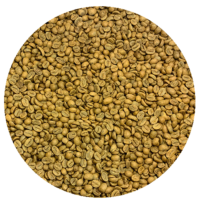 Panama Premium Boquete – Damarli Estate – Noble Catuai Natural “Breeze” Green Coffee Beans