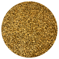 Rwanda Cyato – Abadatezuka COOP – Honey Processed Green Coffee Beans