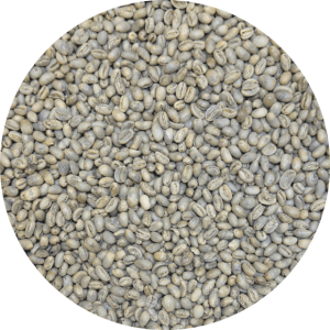 Dominican Org. Ramirez Estate – Washed Peaberry