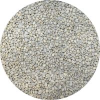 Ethiopian West Arsi Gr. 1 - Refisa Washed Processed