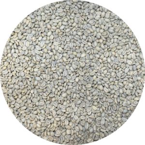 Ethiopian West Arsi Gr. 1 - Refisa Washed Processed