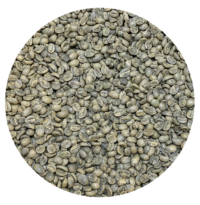 Guatemalan Premium Antigua Bella Carmona Greenhouse Dried Green Coffee Beans