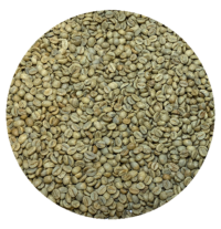 Bolivian Org. Caranavi Cafe Kreyol APCERL Natural Processed Green Coffee Beans