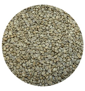 Bolivian Org. Caranavi Cafe Kreyol Fernando Hilaquita Honey Processed Green Coffee Beans