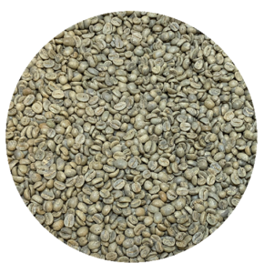 Bolivian Premium Apolo Trinidad Indigenous Community Cafe Kreyol Green Coffee Beans