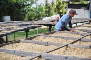 cerro san luis drying tables