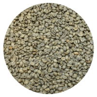 Costa Rican Cerro San Luis Micromill – Finca El Venado “Las Cercas” Anaerobic Honey Green Coffee Beans