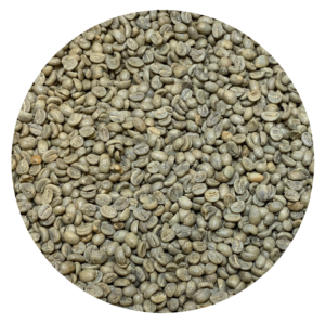 Costa Rican Cerro San Luis Micromill – Finca El Venado “Las Cercas” Anaerobic Honey Green Coffee Beans