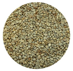 Guatemalan Premium Santa Rosa Blue Ayarza Natural Processed Green Coffee Beans