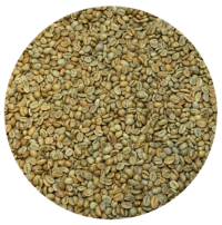 Indian Karnataka Ratnagiri Estate Pearl Mountain Natural Processed Green Coffee Beans
