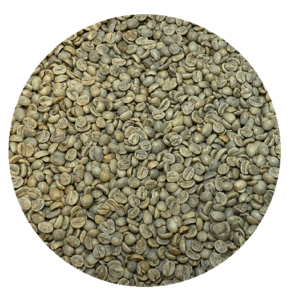 Indian Mysore Nuggets Extra Bold Green Coffee Beans