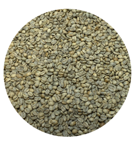 Mexican FT Org. Altura Oaxaca CEPCO Washed Processed Green Coffee Beans