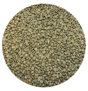 Uganda Org. Mt. Elgon Indigenous Bugisu AA Green Coffee Beans