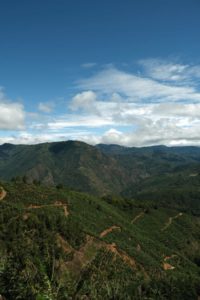 San Calletano Landscape