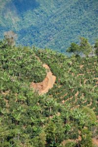 San Calletano road