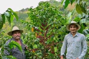 leguizamos and coffee tree