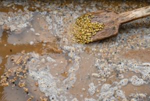 el faldon coffee washing